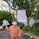 ⭐️11월 2주 별이랑반 🍊귤이 톡! 캠핑체험놀이⛺️ 이미지