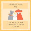 더 샵 동물메디컬센터 이미지