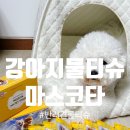 미니펫 | 강아지물티슈 마스코타 미니펫티슈 퐁이사용후기