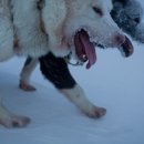 (주)그린랜드 이미지