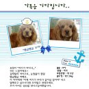 코카 이미지
