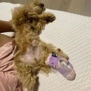 노가리앤비어제주시청점 이미지