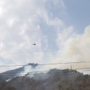 김삿갓면-2 이미지