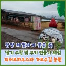 담양군농업기술센터 | 담양 메타세쿼이아 가로수길 옆 딸기 수확 및 쿠키 만들기 체험하기 좋은 곳 히어로하우스 카페와...