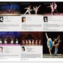 대구경북발레 페스티벌 이미지