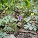 반여시장 이미지