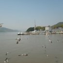 외포리선착장 이미지