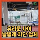 에스투와이 | 유리문 사이 날벌레 차단 업체