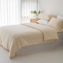 호텔 밴드 이미지