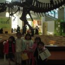 서대문자연사박물관 이미지