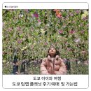 도쿄 볼거리 팀랩 플래닛 예약 필수 가는법까지 솔직한 후기