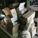 강쥐와냥이하남