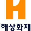 국내 <b>손해</b><b>보험</b>업계 시장 점유율 Top10