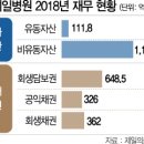 회생약품 이미지