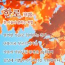 맑고 좋은 글 이미지