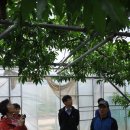 안흥농장 이미지