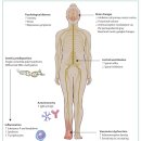 Re: CRPS와 fibromyalgia 만성통증 최신논문 탐구!! 이미지