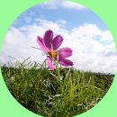 ☀☁☂-8월8일(월)＜＜ “가마솥 더위” 폭염속 더위 계속, 일부지역 산발적 소나기, ＞＞-☀☁☂ 이미지