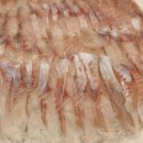 만푸장횟집 이미지