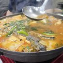 갈매기회센타 | [영흥도 회센타 맛집] 23호 일광&amp;갈매기 내돈내산 후기