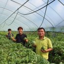 해담영농조합법인 이미지