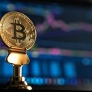 와이지케이디자인 이미지