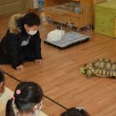 영춘초등학교, 영춘초교(병설유치원) 이미지