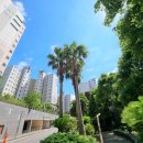 하귀일초등학교 병설유치원 이미지