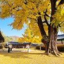 디자인위로 이미지