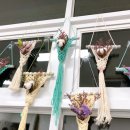 안나모자원 이미지