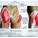 아이앤지짐 이미지