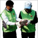 징검다리 이미지