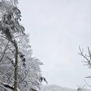 한국전력공사 여주지점
