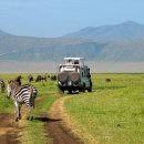 죽기 전에 봐야 할 세계 100대 여행지 ○ 12위 : 응고롱고로산(Ngorongoro Crater, 탄자니아) 이미지