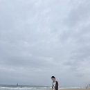 경포9호 | [강릉]강아지랑 함께한 강릉 2박 3일 코스 DAY.1 애견동반 가능 총정리
