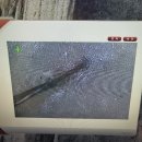 스콥헤어 이미지