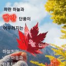 "'가장 맛있는 족발' 식당을 찾아서"＜2021.11.16(화)＞ 이미지