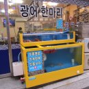 세종온누리약국 앞 이미지