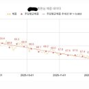 나우피티스튜디오 이미지