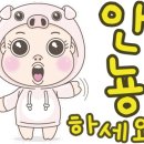 매향 오토 캠핑장 이미지