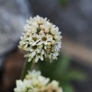 렌즈클릭 이미지