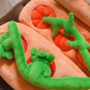 개신농장 이미지