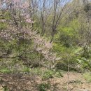 머내생태공원 이미지