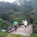 참새민박 이미지