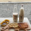 연천재인폭포오토캠핑장 티스토리
