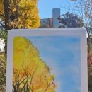 효자상길5번길 이미지