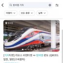 더케이트래블 이미지