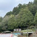 아리산 | 11월 타이중 아리산 kkday 일일투어 후기