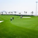 드래곤 골프 이미지