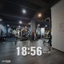 바디웰핏 | 복대동 비하동 헬스/피티 한달 후기/바디웰핏